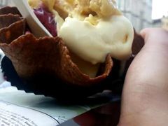 -圣母百花大教堂穹顶