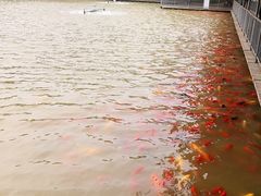 -泰安地下龙宫景区