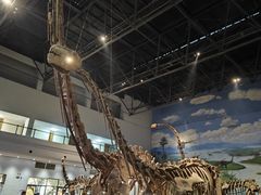 -自贡恐龙博物馆