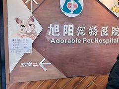 -美联众合宠物医院·爱萌分院·内外科·猫科中心