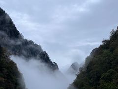 -青峰峡国家森林公园