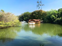 -深圳野生动物园