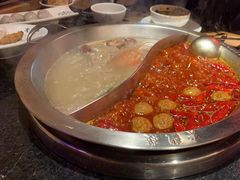 -大龙燚火锅(南山大道店)