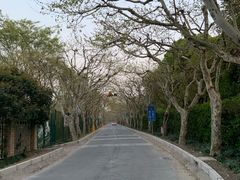 -东方绿舟景区