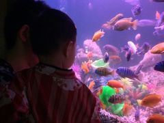-御池园(顾村公园店)