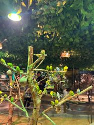 -酷嗒动物文化乐园(cutezoo西溪乐天城店)