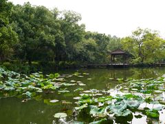 -浙江西子宾馆·牡丹厅