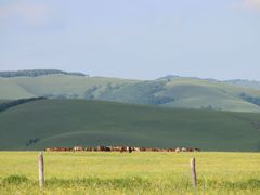 -塞罕坝国家级自然保护区