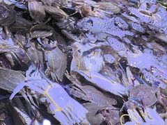 -聚盛源蒸汽海鲜火锅烤肉自助(巨川金海岸购物广场店)