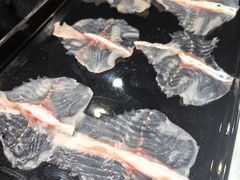 大斑鱼-京门活鱼馆·鱼火锅(百子湾（原红庙）店)