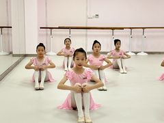 -墨舞舞蹈(顾村公园店)