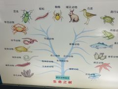 -上海昆虫博物馆