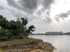 -鹤之洲湿地公园
