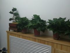 -范长伟灸草堂(甘家口店)