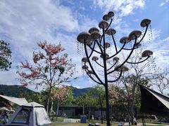 -白石龙音乐公园