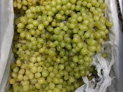 -白鹿原葡萄主题公园