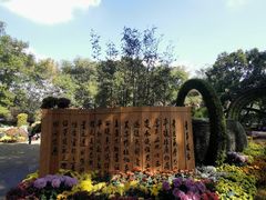 -上海醉白池公园
