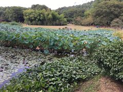 -东湖磨山景区