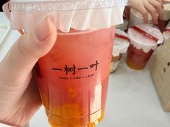 -一树一叶·福建茶档(石鼓路店)