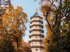 -灵谷景区