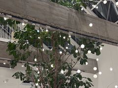 -大树餐厅(红旗街万达店)