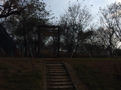 天适樱花悠乐园-天适樱花悠乐园