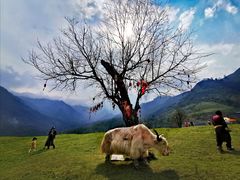 -硗碛藏寨·神木垒景区