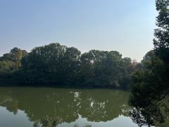 -张鸟园农家乐(张鸟园店)