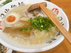 招牌猪骨浓汤面-日出拉面(望京店)