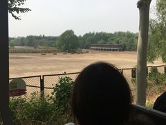 -北京麋鹿生态实验中心