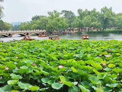 -承德避暑山庄景区