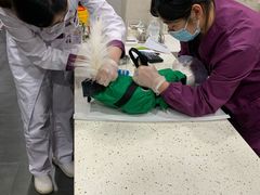 -宠爱国际动物医院·疑难骨科·心肾内科·皮肤科(太阳宫店)