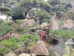 -罗红摄影艺术馆