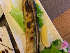 -樱の千渡日式料理·铁板烧•烧鸟(金盛田广场店)