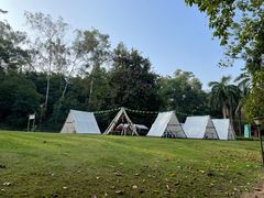 -南宁良凤江国家森林公园