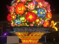-锦江乐园舞狸花花游园会(夜场专享)