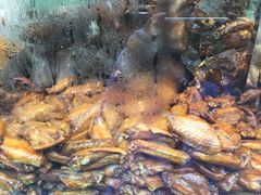 金记卤鸡店-顺城金记卤鸡·清真