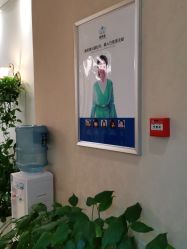 -碧莲盛·不剃发植发