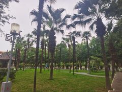 -四川大学(望江校区)