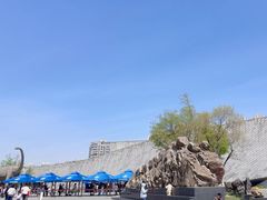 -安徽省地质博物馆