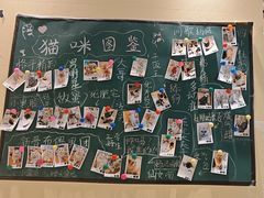 -藏猫猫咖啡主题馆(中央大道店)