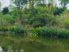 -桤木河湿地公园