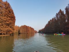 -上海海湾国家森林公园