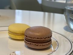 -BLACKSWAN黑天鹅(环球店)