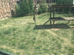 -鄂尔多斯野生动物园