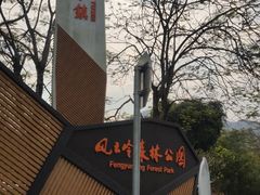 -风云岭森林公园