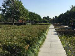 -白塘生态植物园