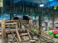 -栾川竹海野生动物园