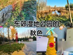 -东郊湿地公园