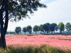 -汉长安城未央宫国家考古遗址公园